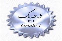 کسب رتبه یک اعتباربخشی بیمارستان امام صادق (ع) دلیجان